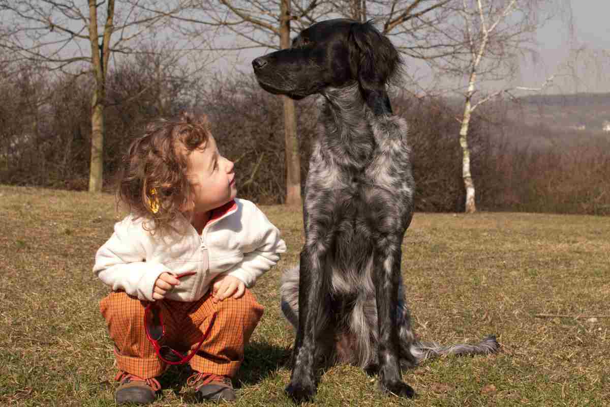 cani bambini crescita